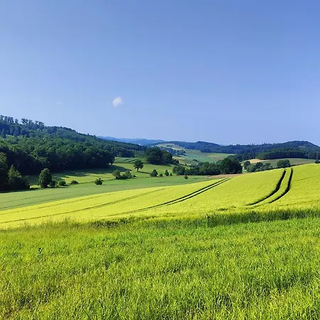 Feriehus Idyllische Alte Schmiede Beim Sorpesee *