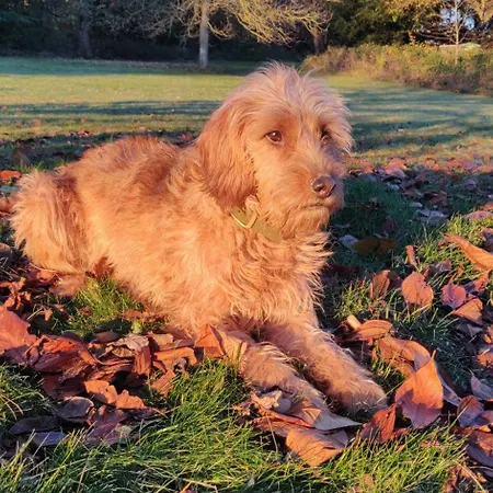 Idyllische Alte Schmiede Beim Sorpesee Melschede