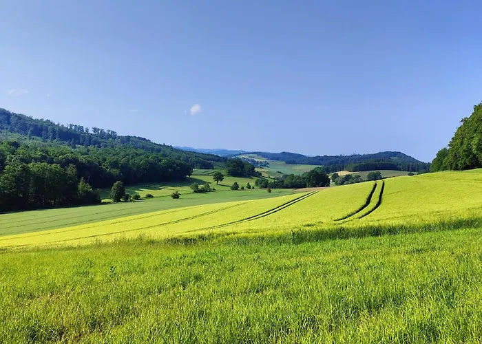 Feriehus Idyllische Alte Schmiede Beim Sorpesee *