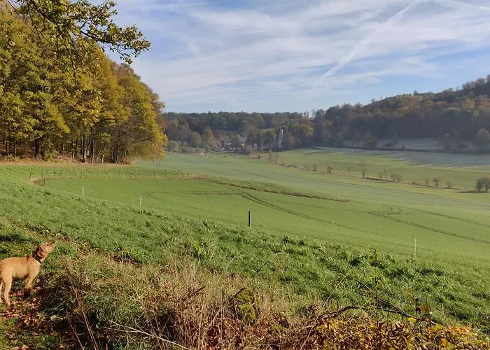 Feriehus Idyllische Alte Schmiede Beim Sorpesee
