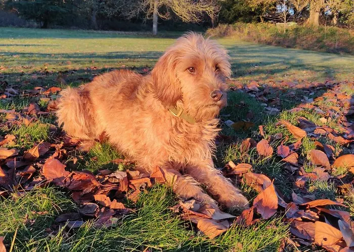 Idyllische Alte Schmiede Beim Sorpesee Melschede